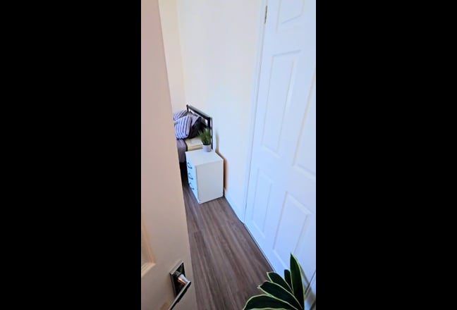Video 1: 