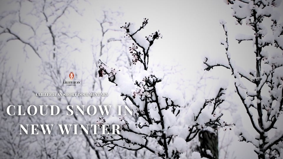 Cloud Snow In New Winter: New York City Short Winter Silent Film by Director Lillee Jean