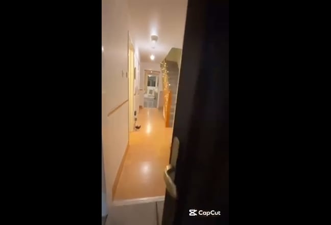 Video 1: 