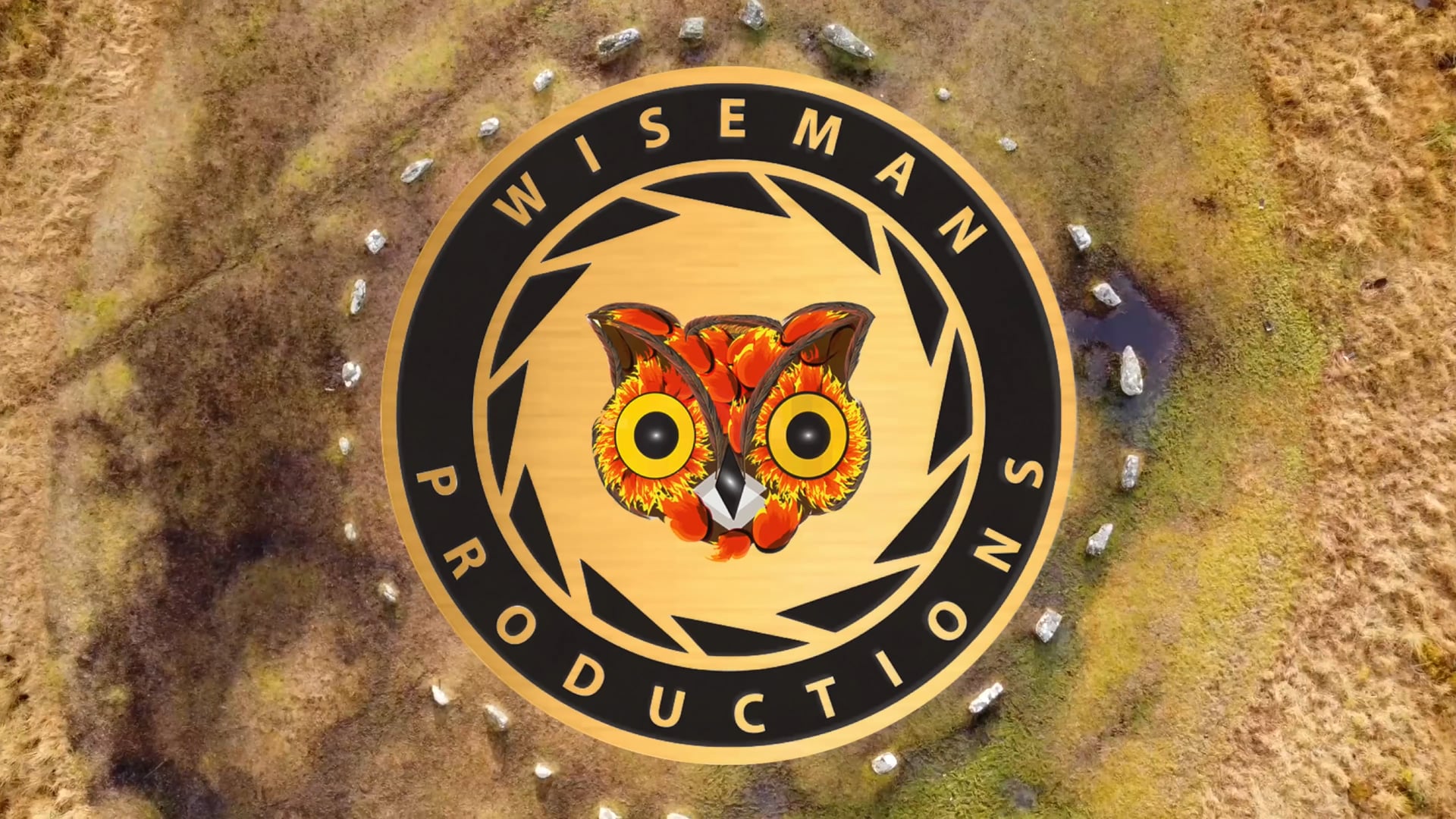 Wiseman Productions Drone Services