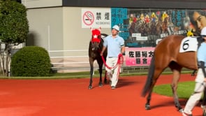 動画サムネイル