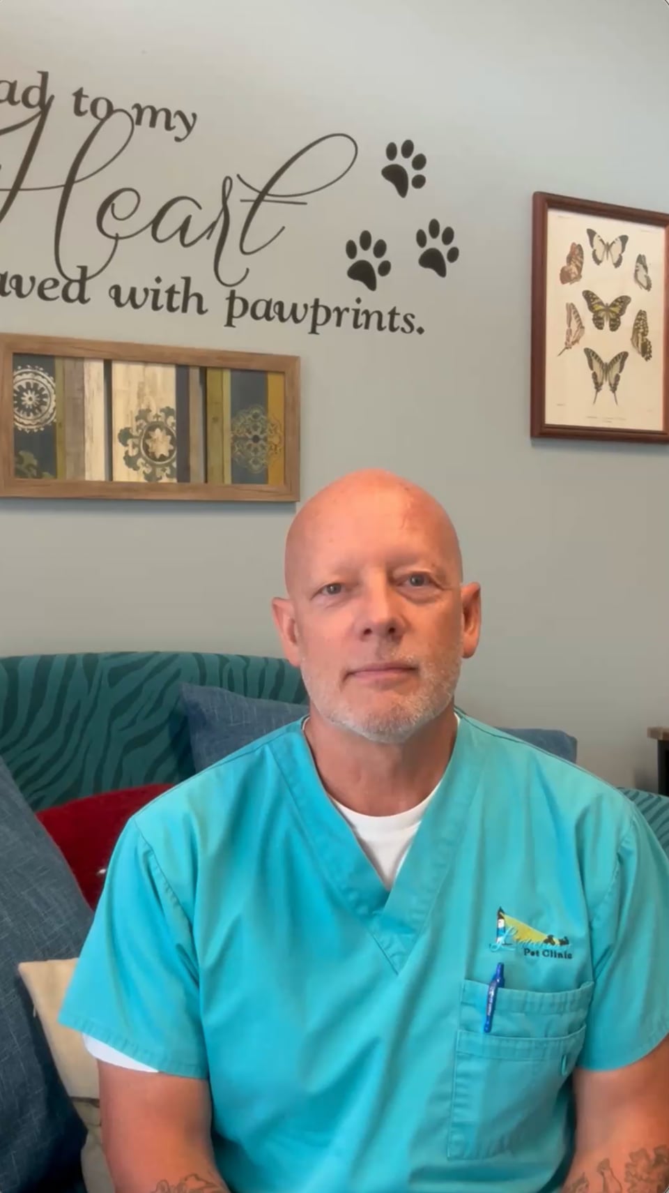 Watch Mike Woodward of Lighthouse Pet Clinic share how Cherry helped 375+ pet parents get surgeries, diagnostics, ultrasound, and PRP care.