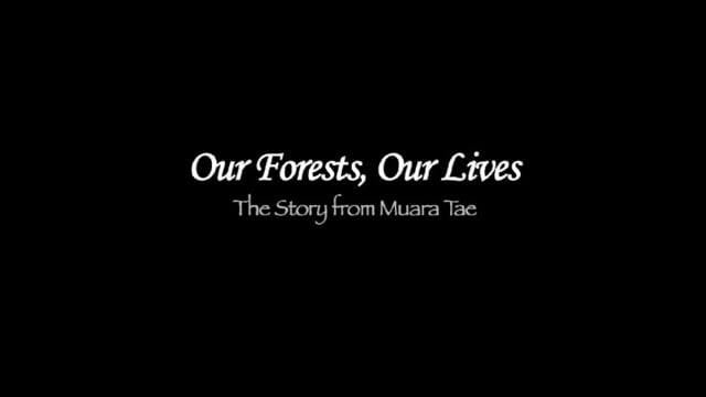 Hutan Kami, Hidup Kami: Cerita dari Muara Tae