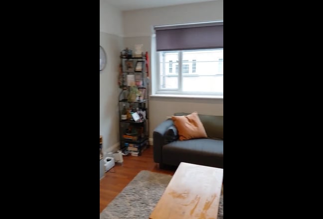 Video 1: 