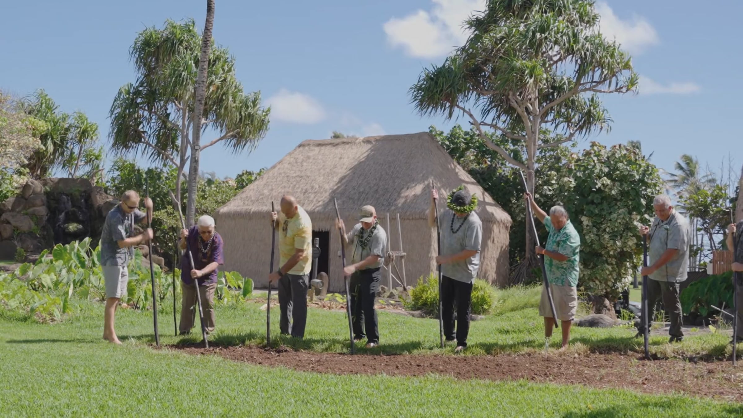hawaii-kauhale-groundbreaking-highlights.mp4 | Videos & Movies on Vimeo
