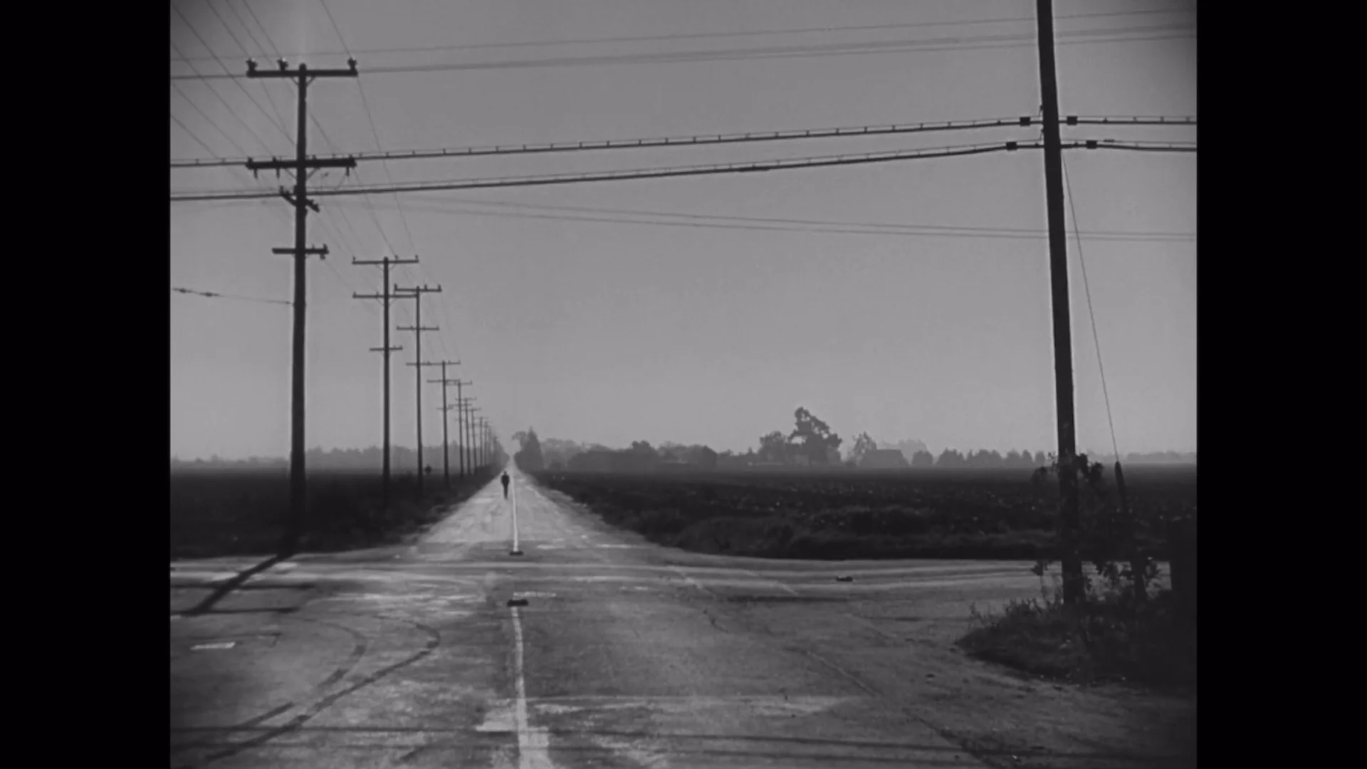SAME FOOD DIFFERENT CUTS | Videos & Movies on Vimeo