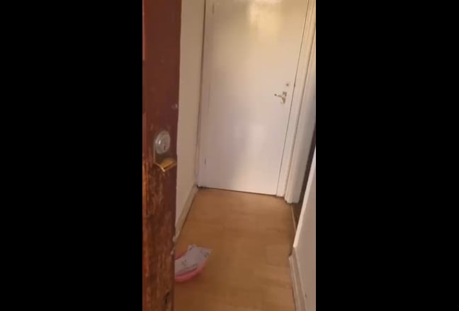 Video 1: 