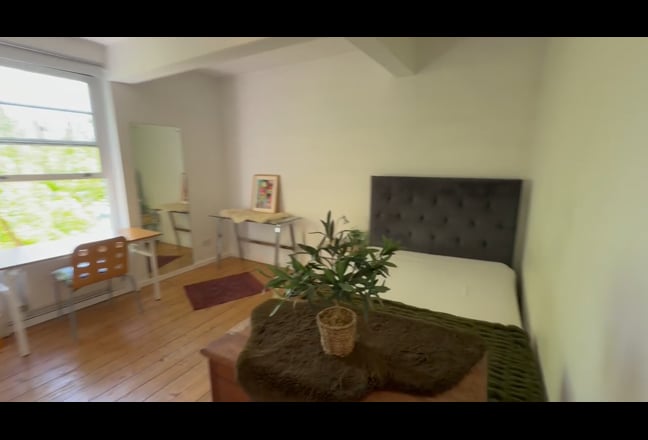 5 week stay -  sunny room in Euston NW1  Main Photo