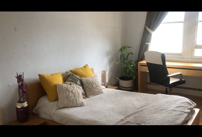 Video 1: 