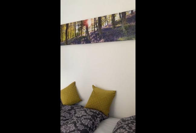 Furnished room in clean ,quiet ,shared house  Main Photo