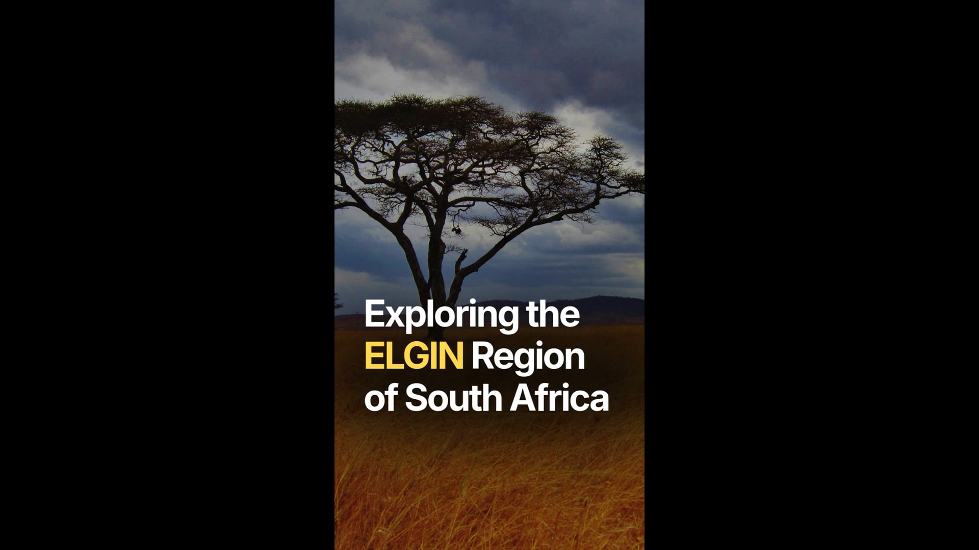 Elgin of South Africa
