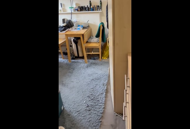 Video 1: 