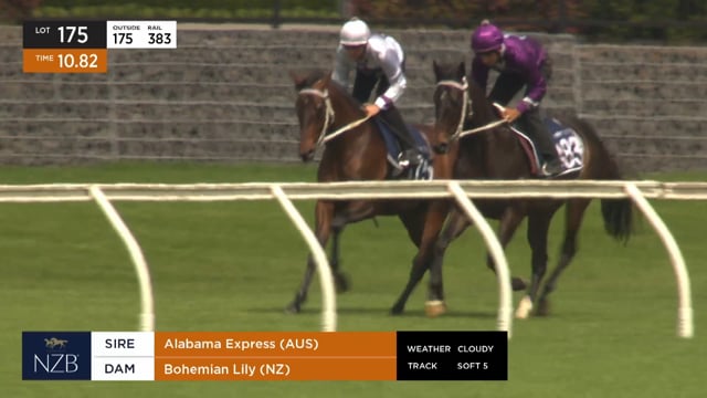 Lot 175