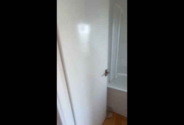 Video 1: 