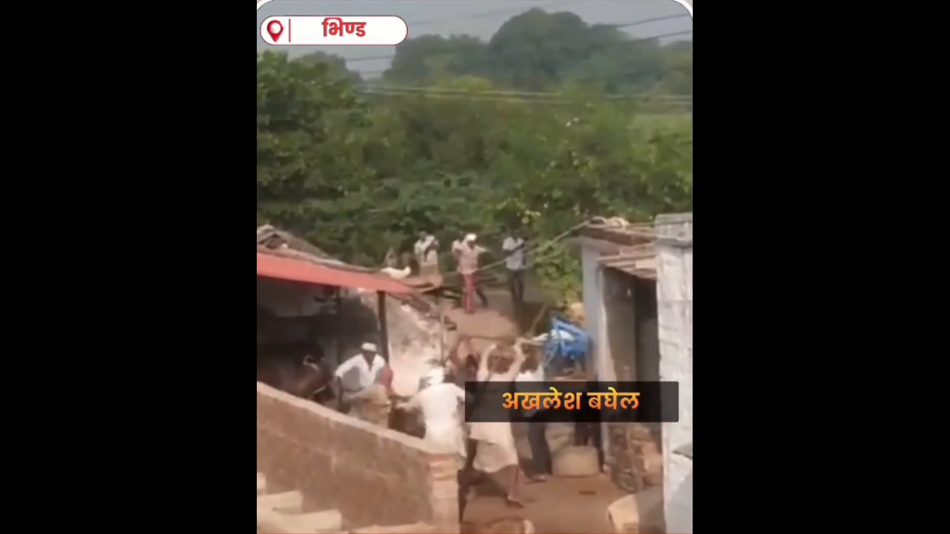 भिंड में दो पक्षों में भीषण बवाल कहीं गोली  कहीं लाठी डंडे घटना का वीडियो वायरल