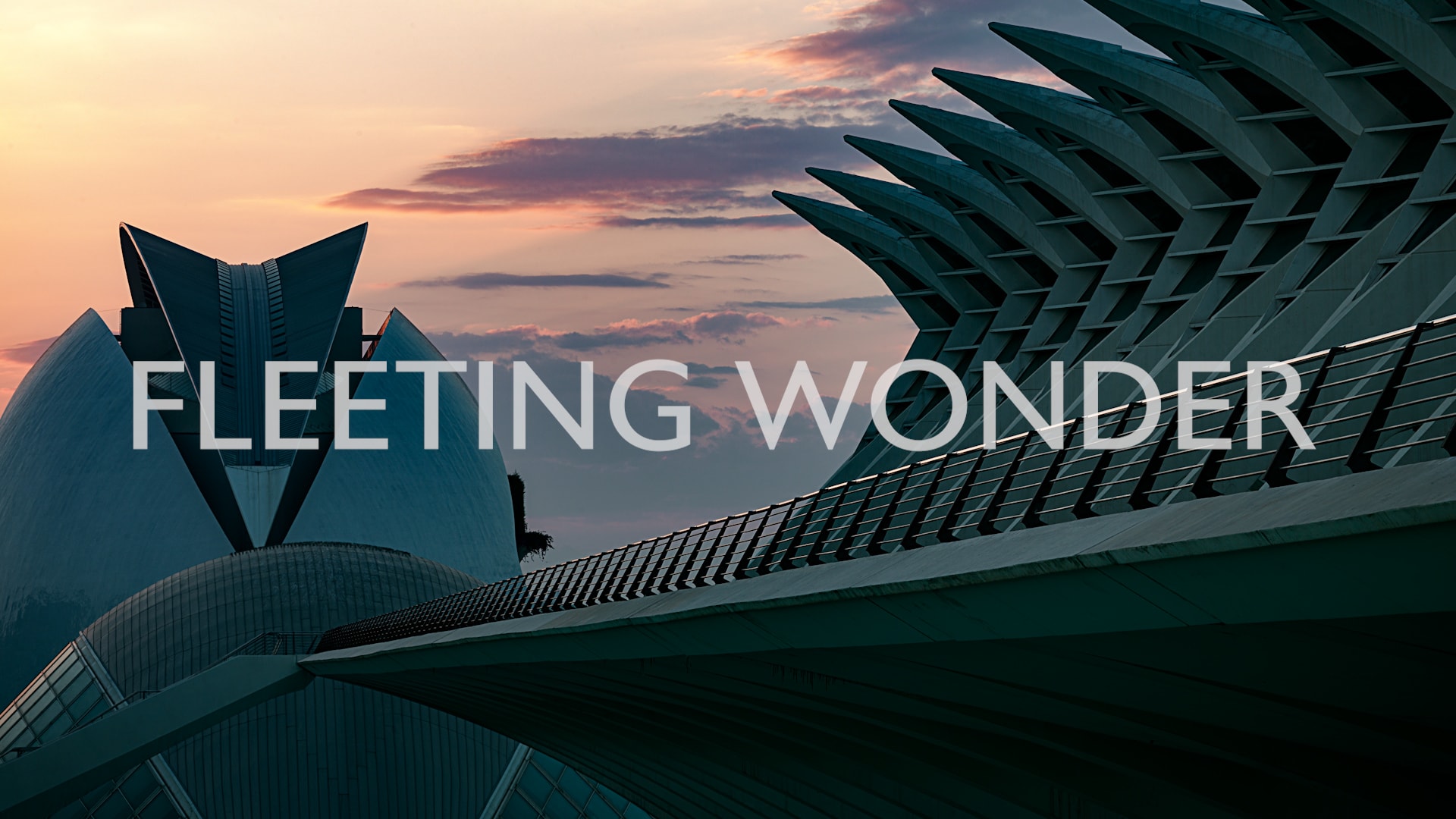 Fleeting Wonder