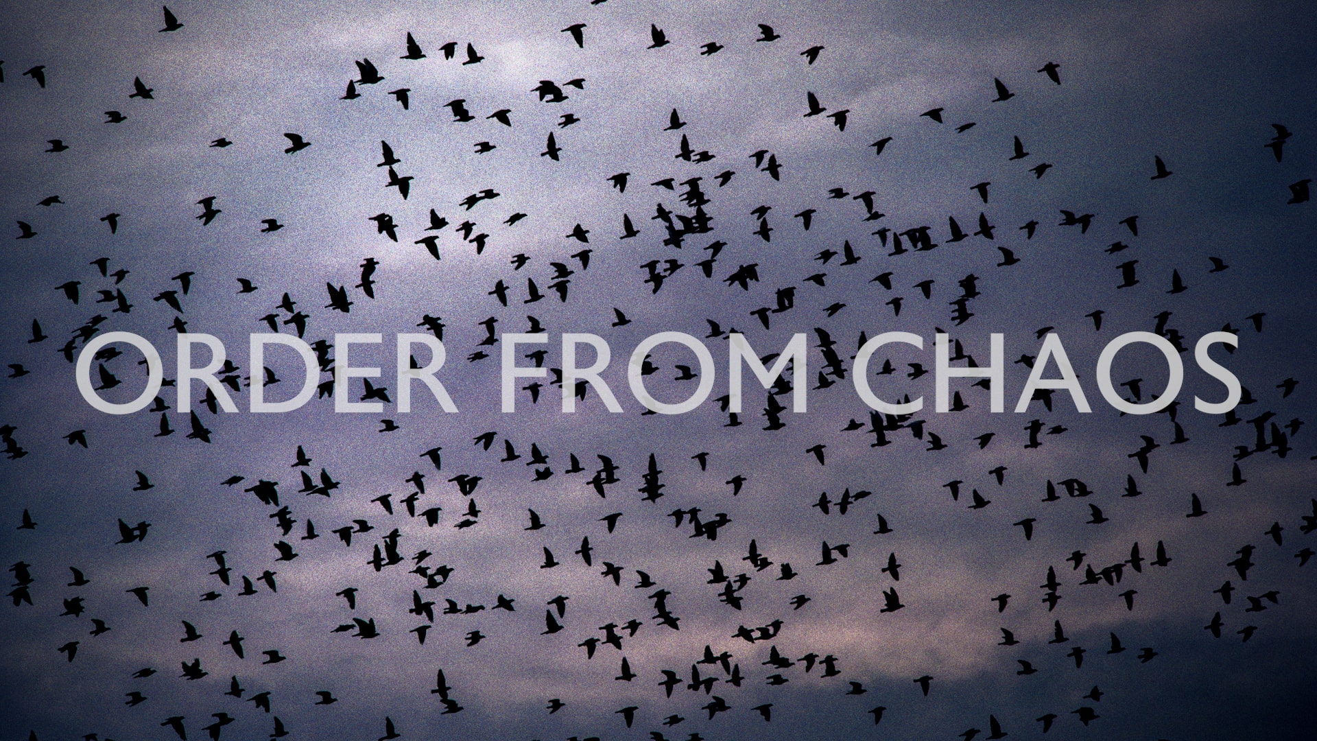 Order From Chaos