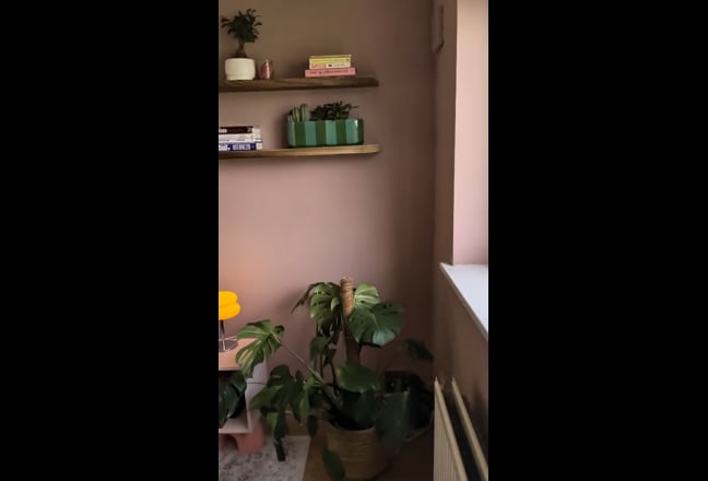 Video 1: 