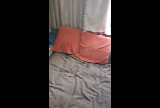 Video 1: Sunday morning vibes
