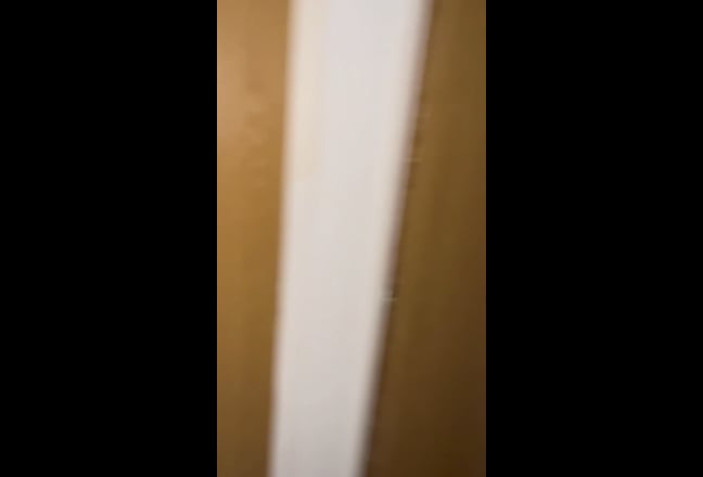 Video 1: 
