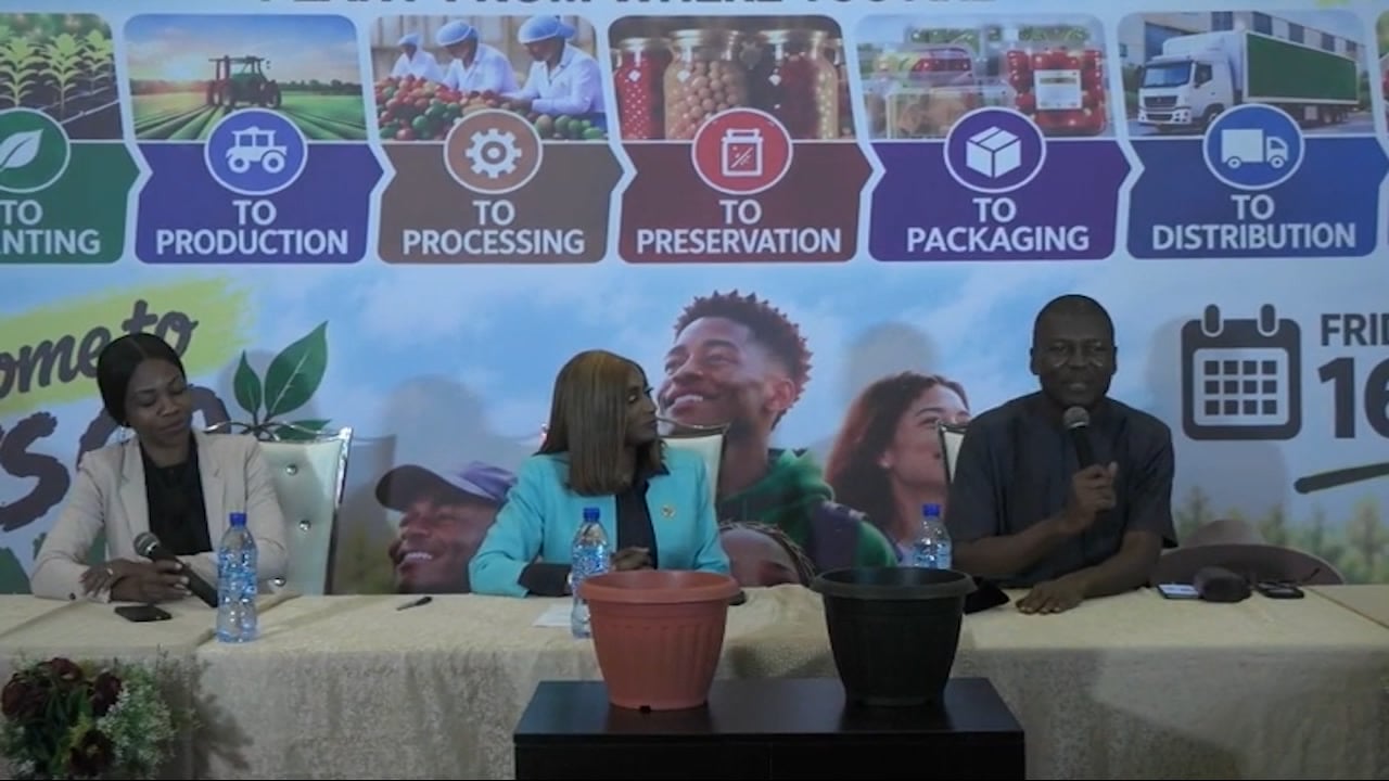Global Food Day : DIY of Let's Go Planting with Professor Qrisstuberg
