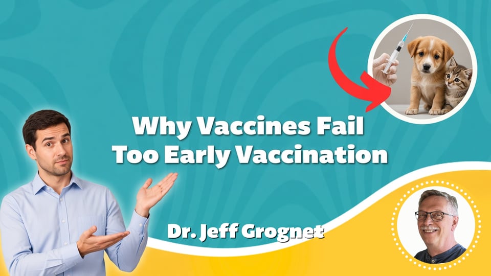 Why Vaccines Fail - Too Early Vaccination