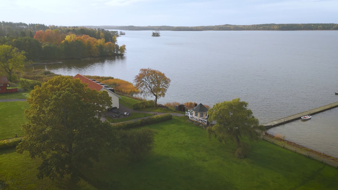 bakgrund