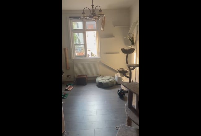 Video 1: 