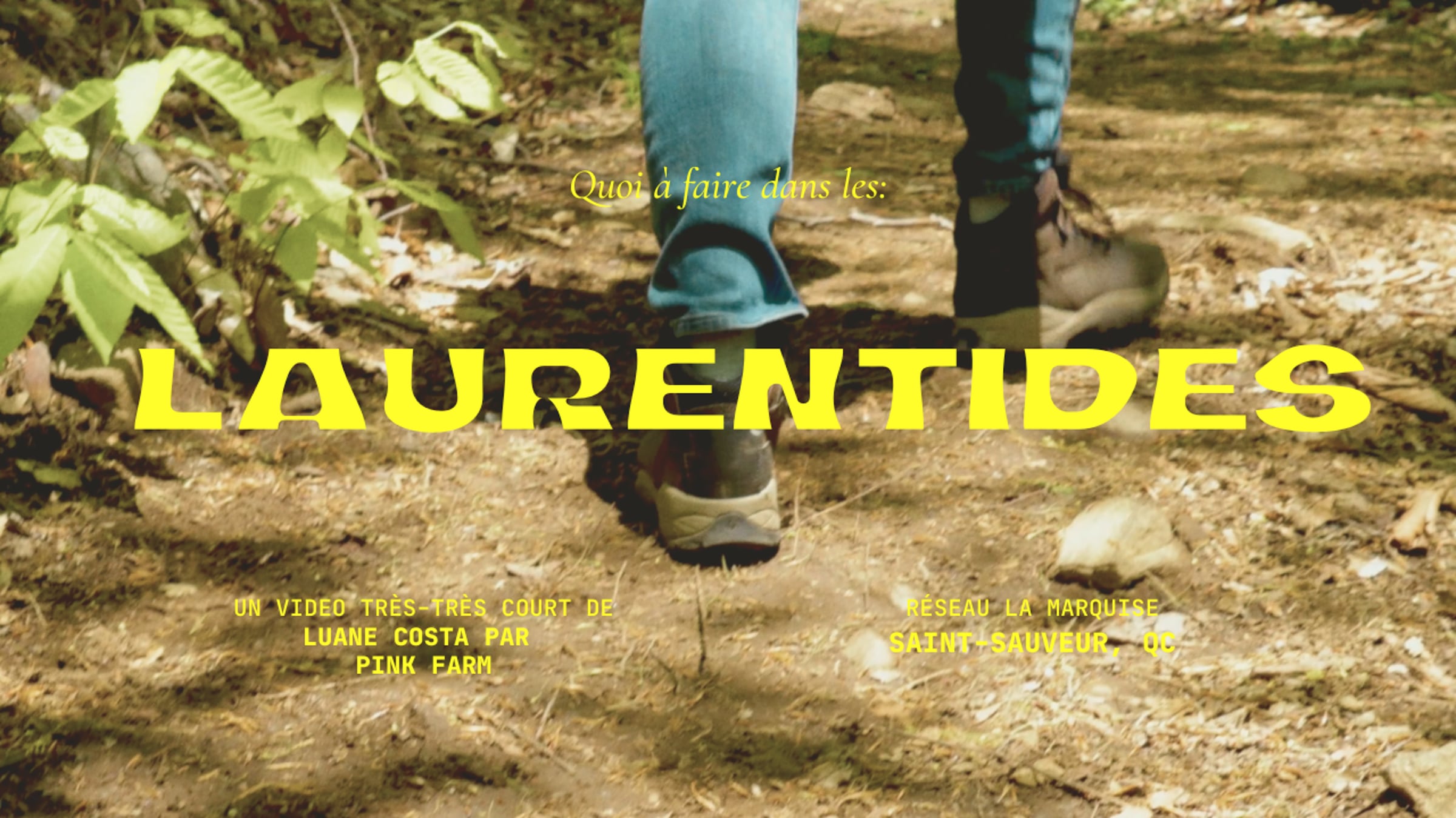 Nature walking at Laurentides | Videos & Movies on Vimeo