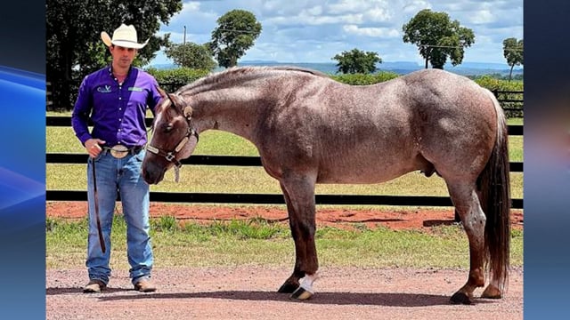 Lote 23