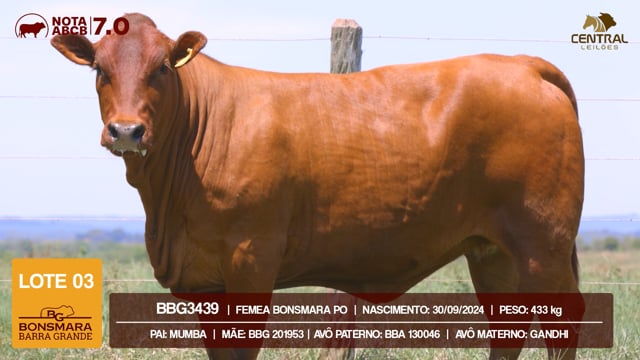 Lote 03