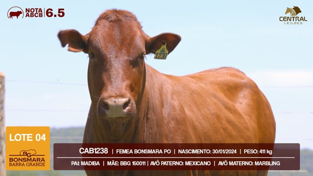Lote 04