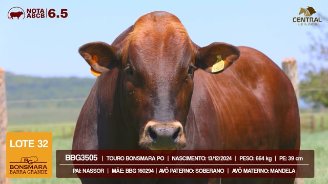 Lote 32