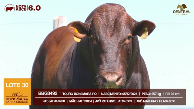Lote 30
