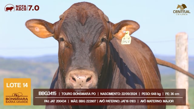 Lote 14