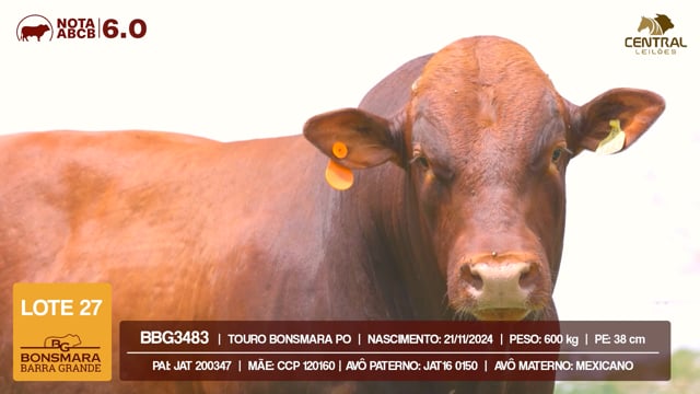 Lote 27
