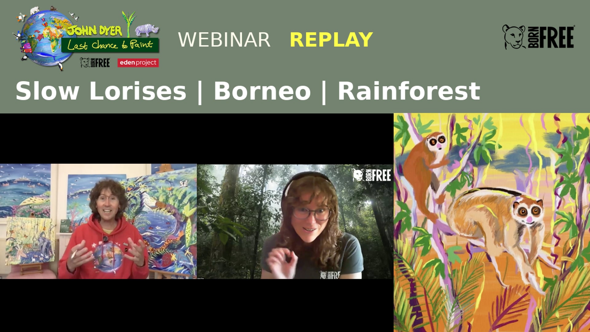 Learn to Paint Slow Lorises in Borneo with John Dyer & Born Free
