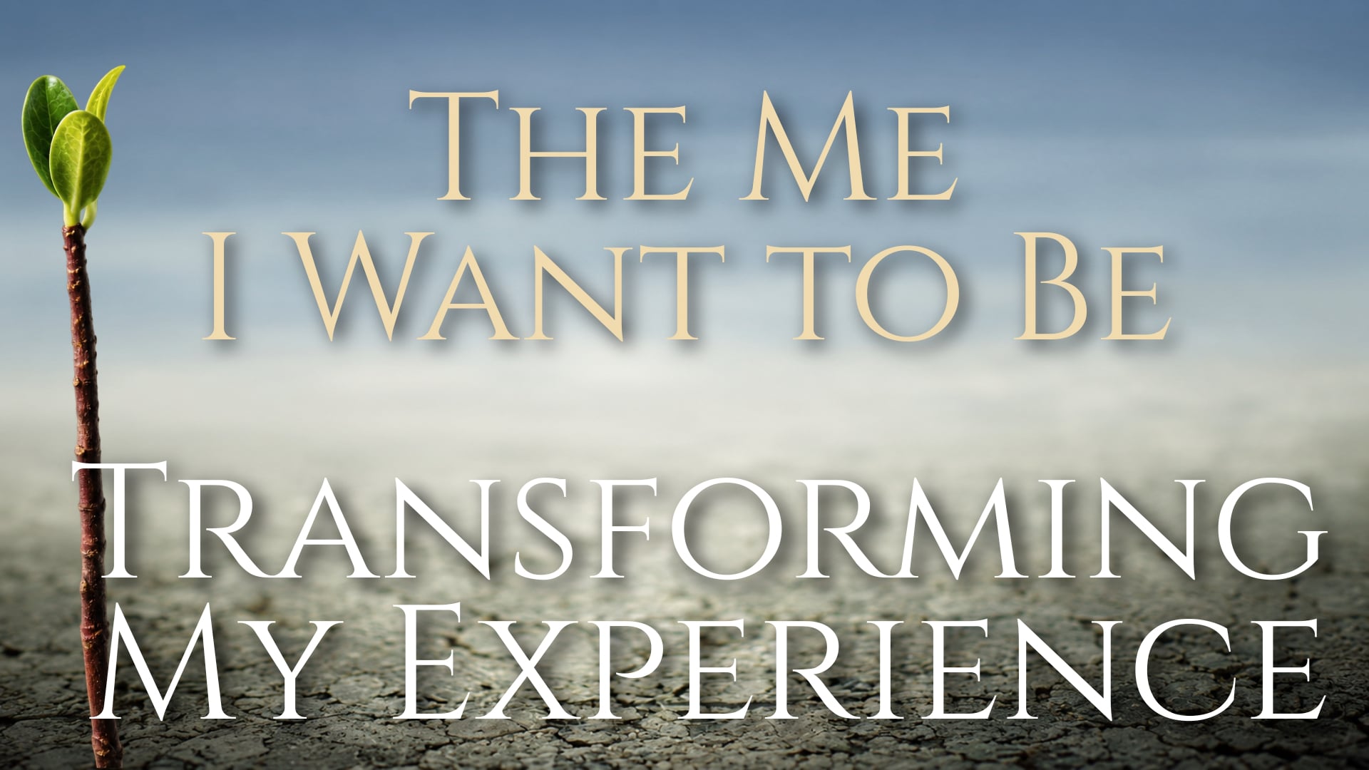 Transforming My Experience
