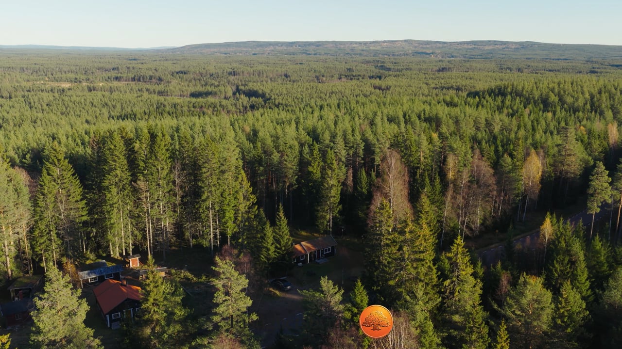2 rum Fritidshus på Övre Hornbergavägen 4 Hornberga Orsa kommun - video