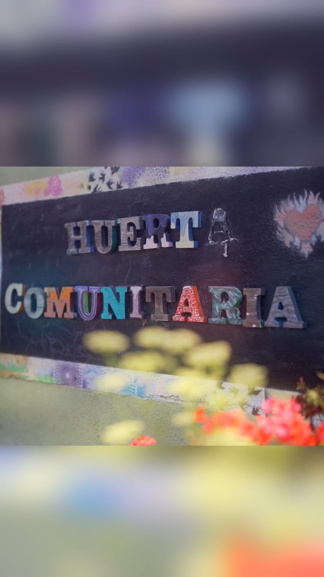 Our community garden