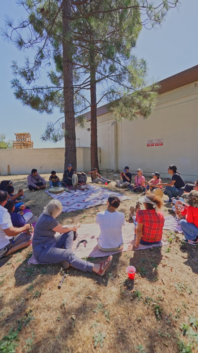 Gathered beneath the trees