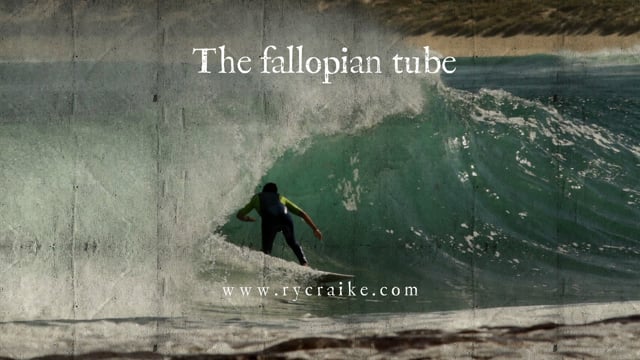 The Fallopian Tube from Tom Jennings