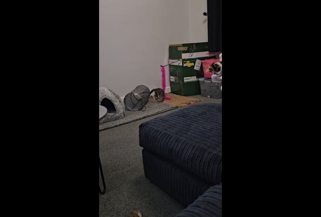Double room, modern house, quiet estate Main Photo