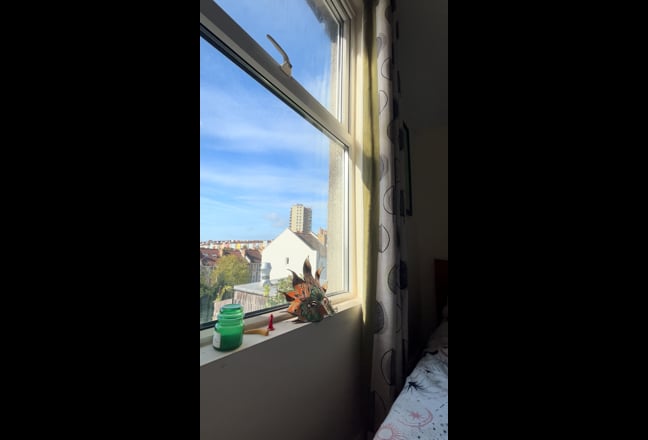 Video 1: 