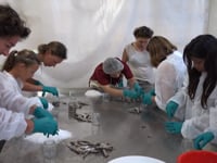 L'Escala acull la 3a edició del projecte culinari 'Cuina d’aquí'