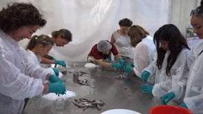 L'Escala acull la 3a edició del projecte culinari 'Cuina d’aquí'