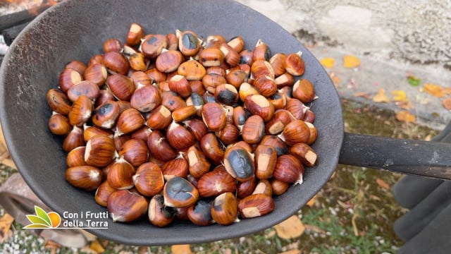 TV Puntata 447_CON I FRUTTI_2026-10-25_p03
