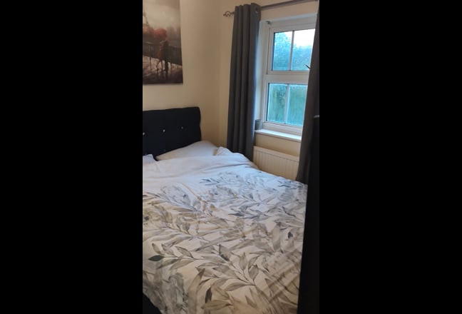 Bright, Comfortable Room in a Friendly Shared Home Main Photo