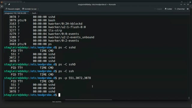 comprendre les processus multithreads