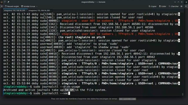 nettoyer les journaux avec les options vacuum